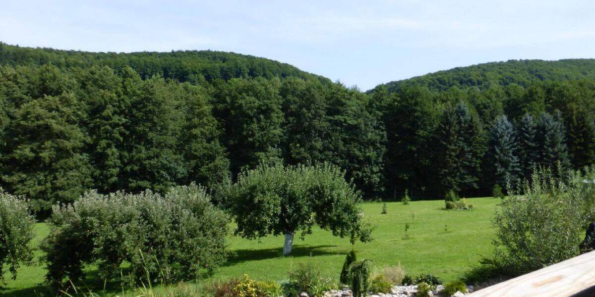 Mehrfamilienhaus, Wohnhaus Schlüchtern Ahlersbach - 1 Zimmer, 750 m&sup2;, 980.000&euro; | Angebot:25704425