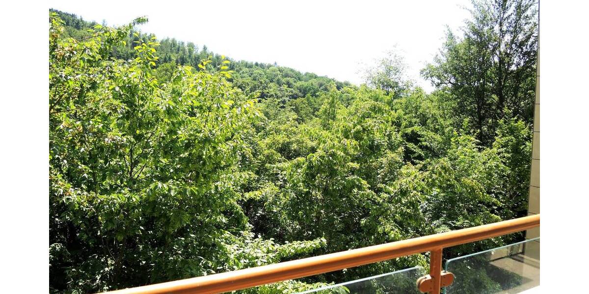Etagenwohnung Bad Brückenau - 3 Zimmer, 74 m&sup2;, 561&euro; | Angebot:26819713