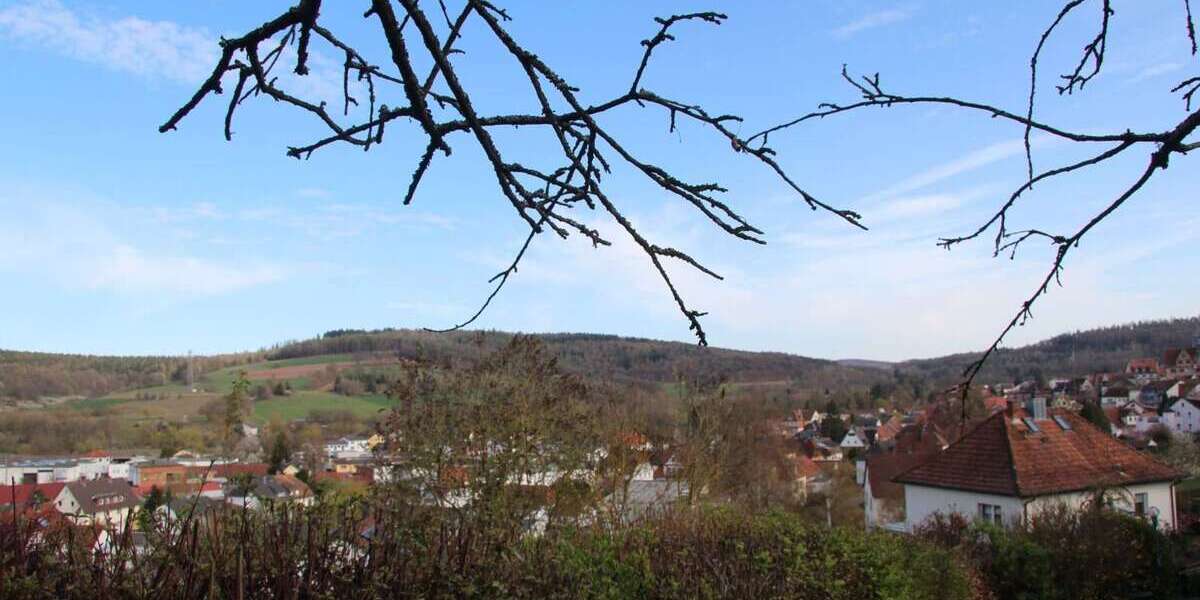Einfamilienhaus Schlitz - 10 Zimmer, 245 m&sup2;, 270.000&euro; | Angebot:26314578