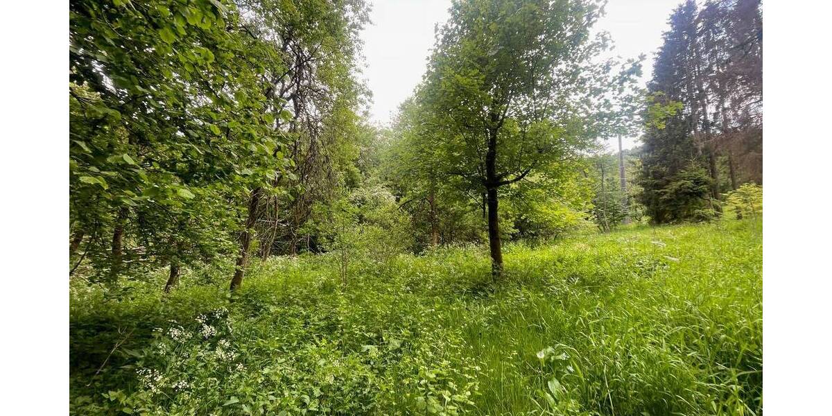 Grundstück Wildflecken Oberbach - 10.000&euro; | Angebot:25696672