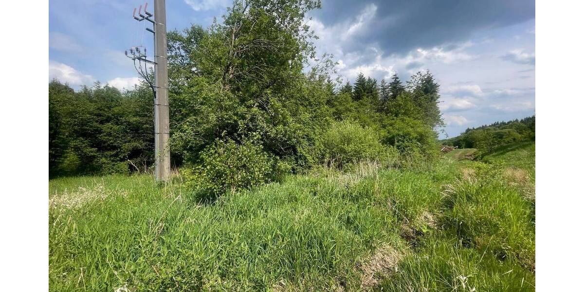 Grundstück Wildflecken Oberbach - 10.000&euro; | Angebot:25696672