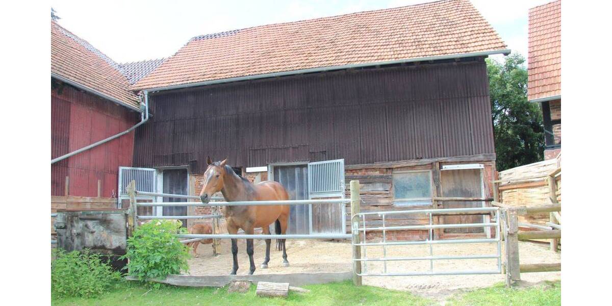 Mehrfamilienhaus, Wohnhaus Schlitz - 6 Zimmer, 140 m&sup2;, 220.000&euro; | Angebot:26673230