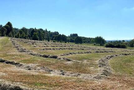 Grundstück Grebenhain - 240.000&euro; | Angebot:25739434