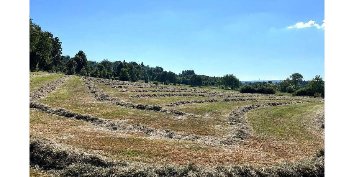 Grundstück Grebenhain - 240.000&euro; | Angebot:25739434