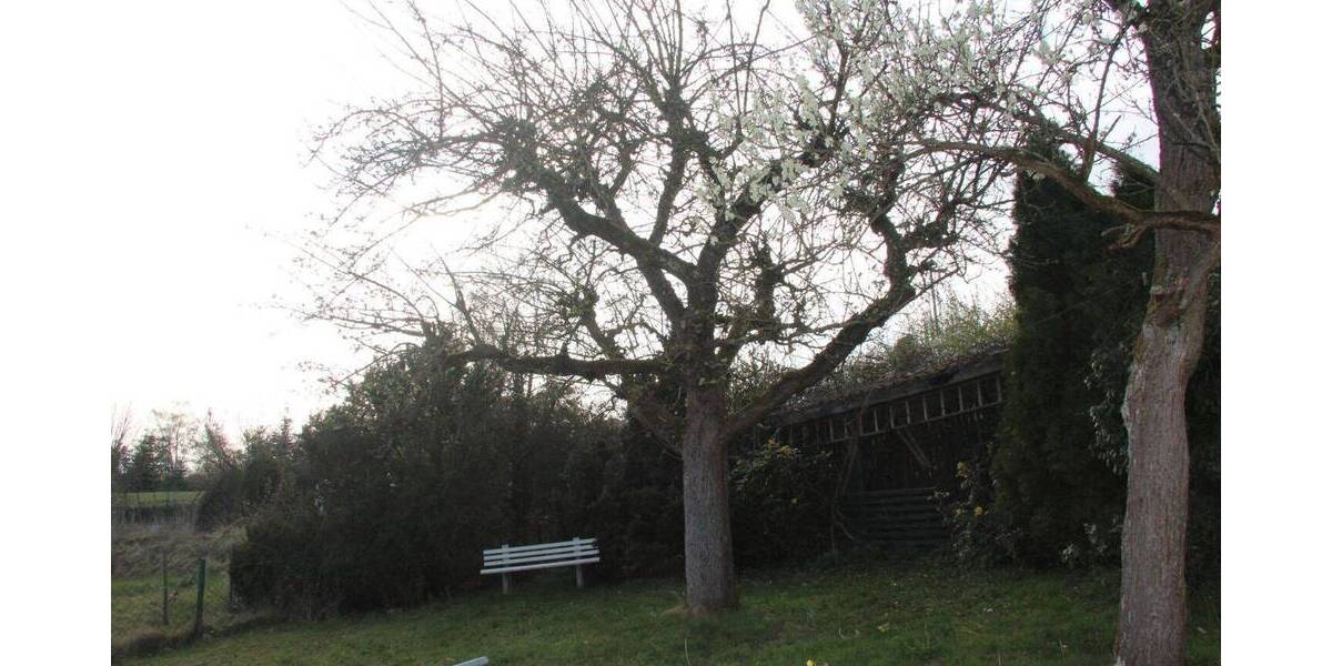 Mehrfamilienhaus, Wohnhaus Schlitz - 1 Zimmer, 245 m&sup2;, 295.000&euro; | Angebot:26306598