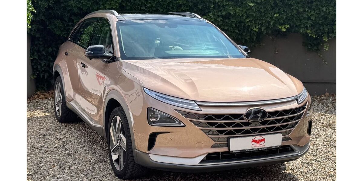 Hyundai NEXO 93.300 km 11.900 &euro; Lauterbach 36341