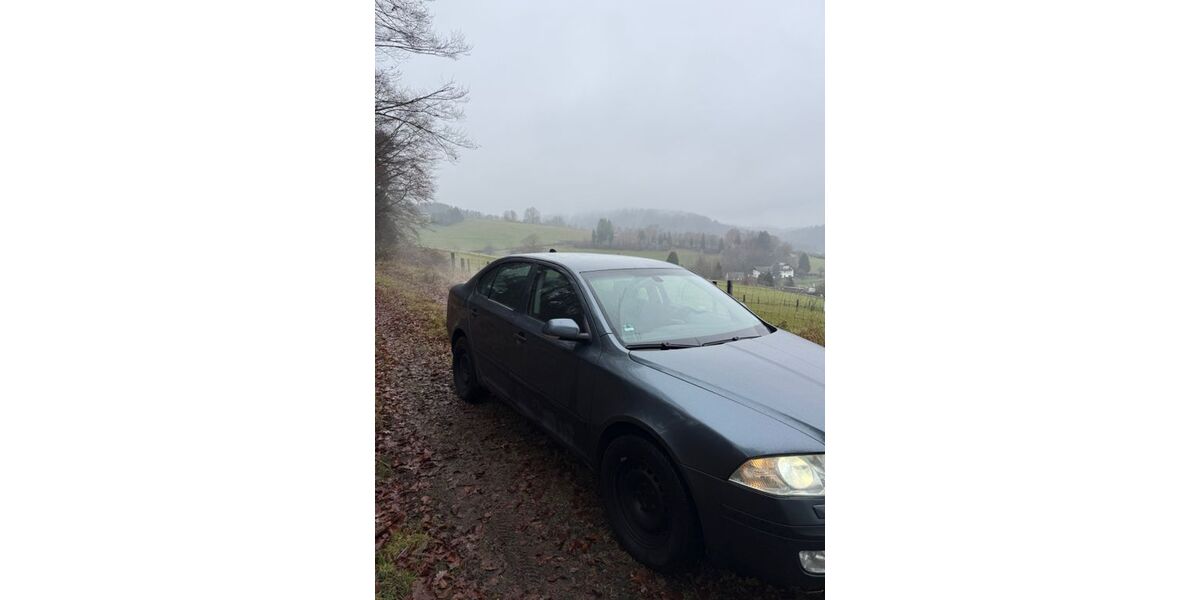 Skoda Octavia 376.000 km 1.650 &euro; Sinntal 36391