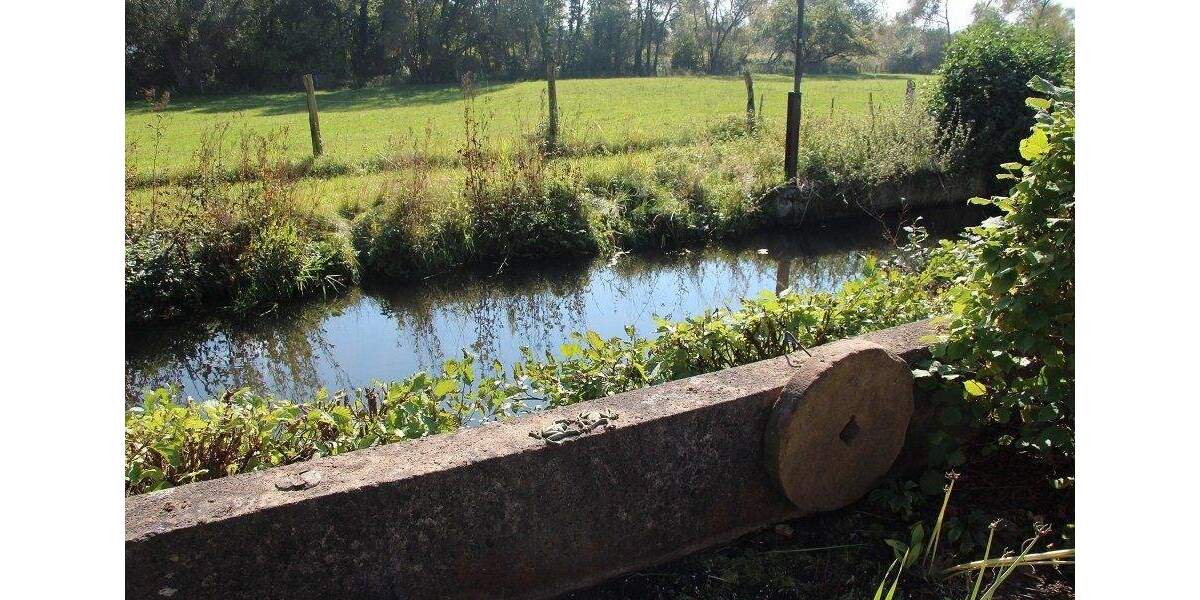 Mehrfamilienhaus, Wohnhaus Niederaula - 1 Zimmer, 278 m&sup2;, 450.000&euro; | Angebot:25673817