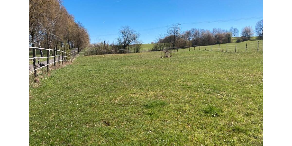 Einfamilienhaus Sinntal - 6 Zimmer, 160 m&sup2;, 295.000&euro; | Angebot:26097758