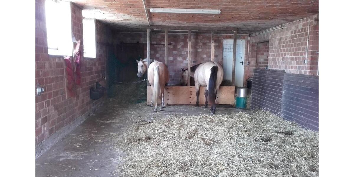 Einfamilienhaus Hosenfeld - 230.000&euro; | Angebot:23620615