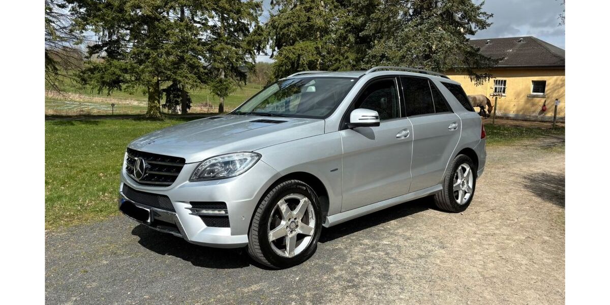Mercedes-Benz ML 350 239.400 km 13.450 &euro; Lauterbach 36341