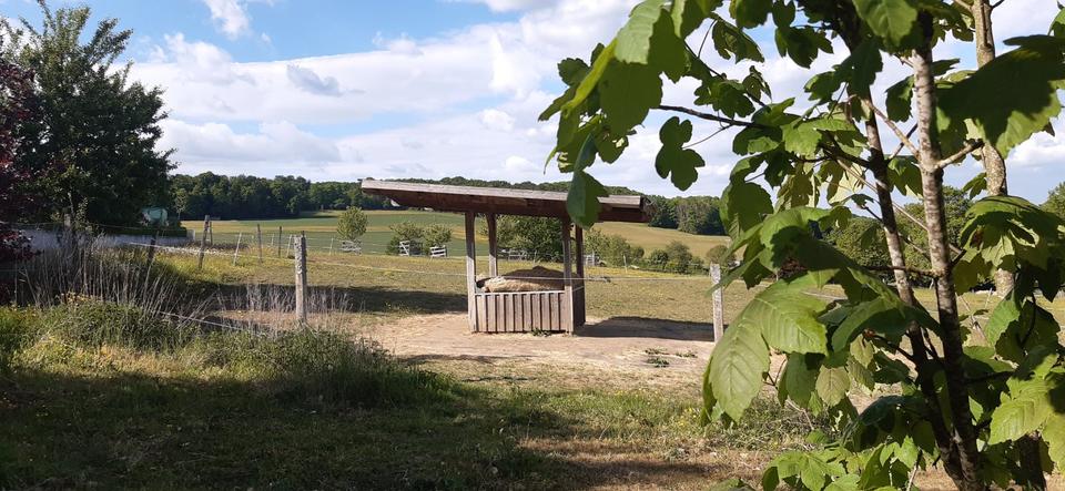 Einfamilienhaus Hosenfeld - 230.000&euro; | Angebot:23620615