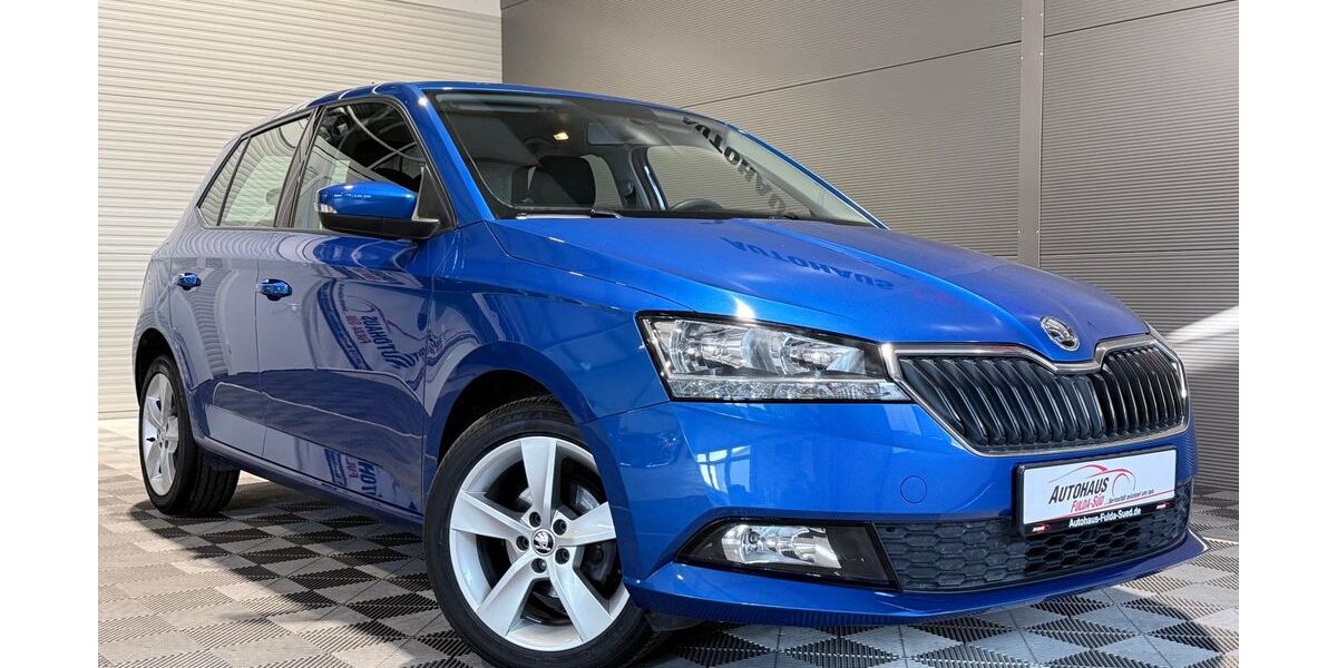 Skoda Fabia 56.500 km 9.970 &euro; Neuhof OT. Dorfborn 36119