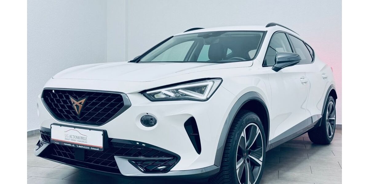 Cupra Formentor 54.700 km 21.480 &euro; Eichenzell 36124