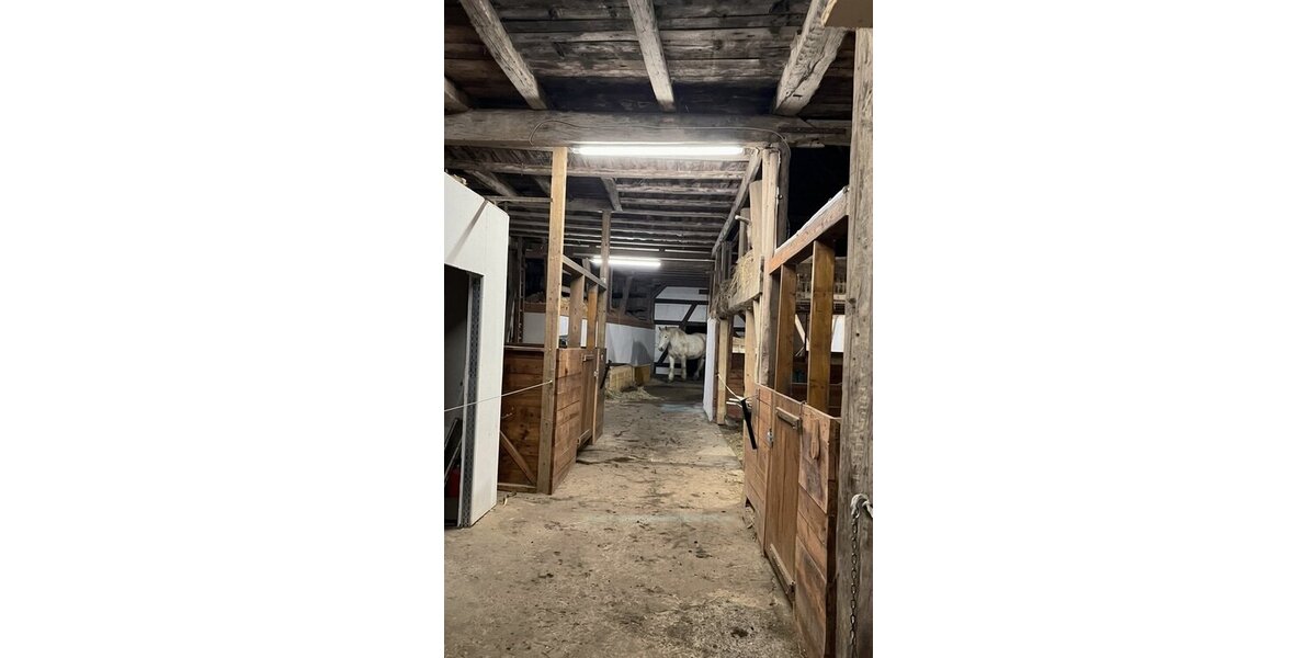 Tann-OT, 3 Seitenhof - Einfamilienhaus Tann (Rhön) Schwarzenborn | Angebot:25869276