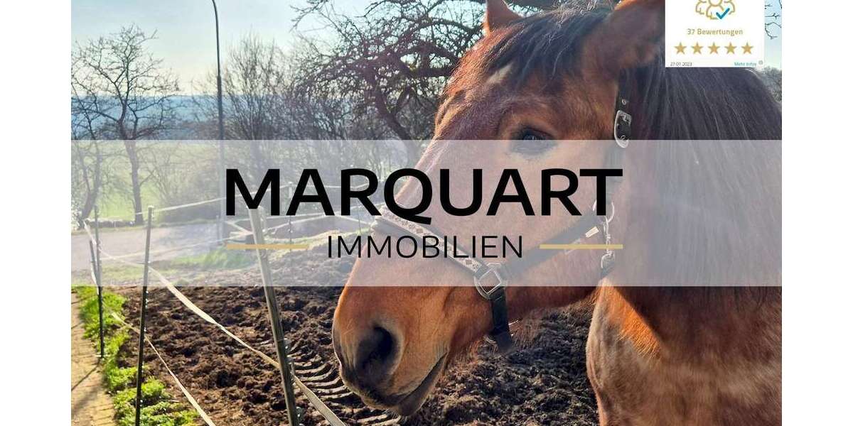 Einfamilienhaus Schlüchtern - 10 Zimmer, 284 m&sup2;, 379.000&euro; | Angebot:26003438