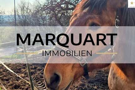 Haus Schlüchtern - 10 Zimmer, 284 m&sup2;, 379.000&euro; | Angebot:26003438