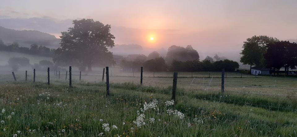 Einfamilienhaus Hosenfeld - 230.000&euro; | Angebot:23620615