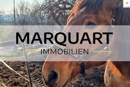 Haus Schlüchtern Klosterhöfe - 1 Zimmer, 284 m&sup2;, 379.000&euro; | Angebot:26079909