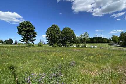 Grundstück Grebenhain / Hartmannshain Hartmannshain - 59.900&euro; | Angebot:22615146