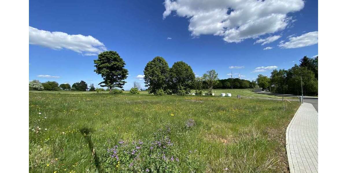 Grundstück Grebenhain / Hartmannshain Hartmannshain - 59.900&euro; | Angebot:22615146