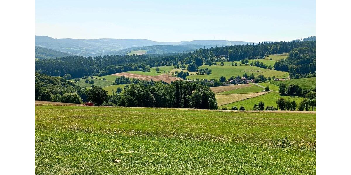 Dachgeschoßwohnung Tann (Rhön) - 3.5 Zimmer, 132 m&sup2;, 870&euro; | Angebot:26439315