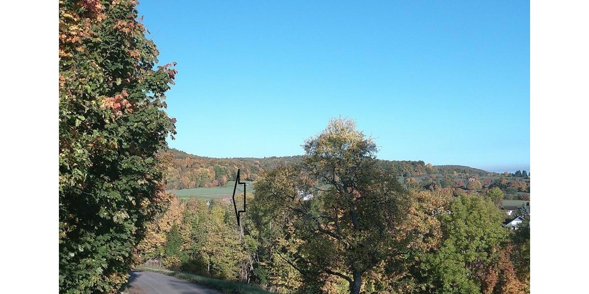 Einfamilienhaus Bischofsheim in der Rhön - 250.000&euro; | Angebot:26220042