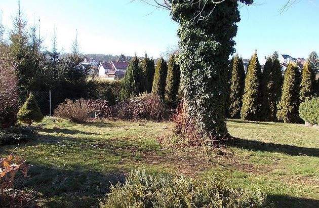 Grundstück Eiterfeld Ufhausen - 60.000&euro; | Angebot:25999320