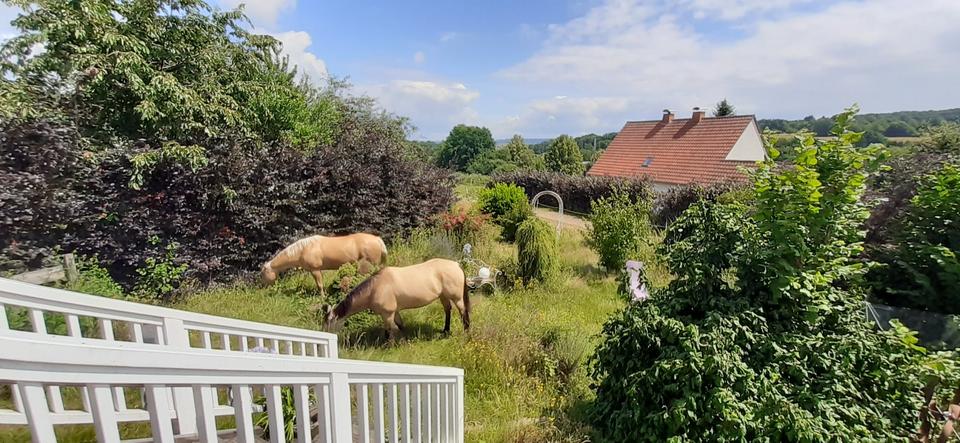 Einfamilienhaus Hosenfeld - 230.000&euro; | Angebot:23620615