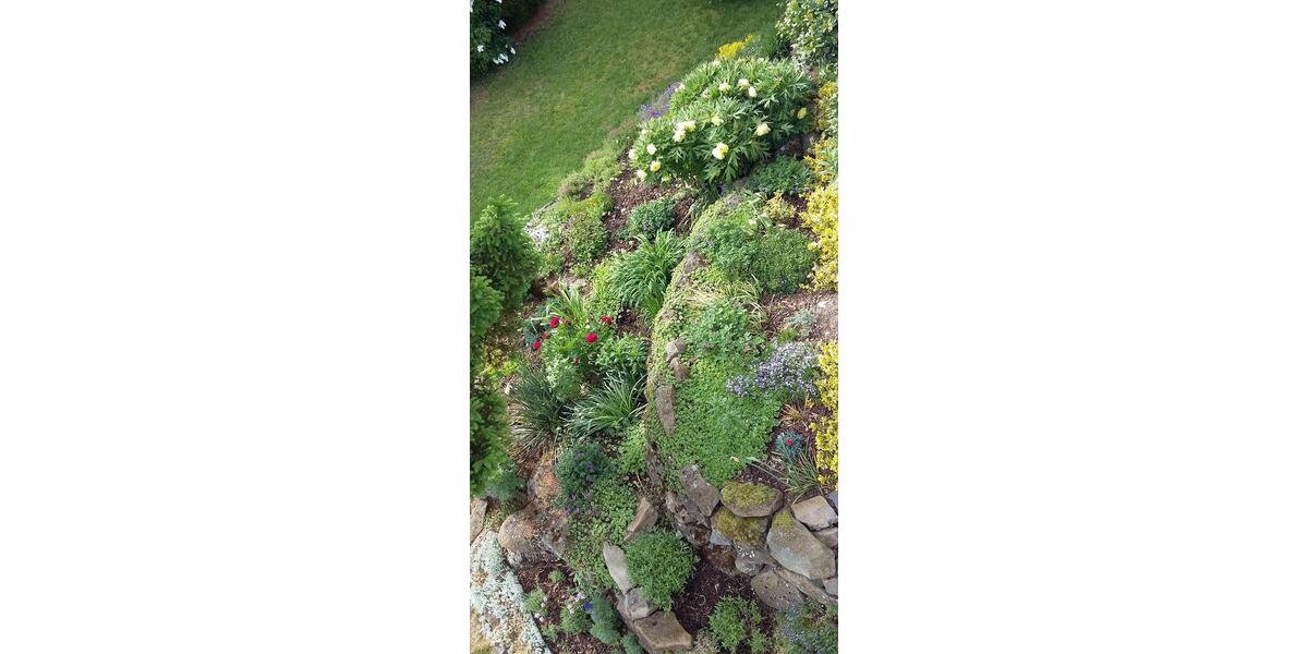 Einfamilienhaus Lauterbach (Hessen) - 6 Zimmer, 150 m&sup2;, 325.000&euro; | Angebot:25941116