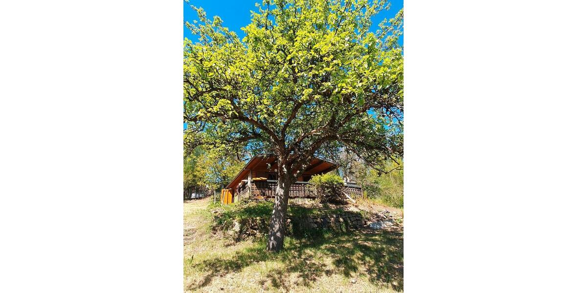 Einfamilienhaus Großenlüder - 35.000&euro; | Angebot:26706914