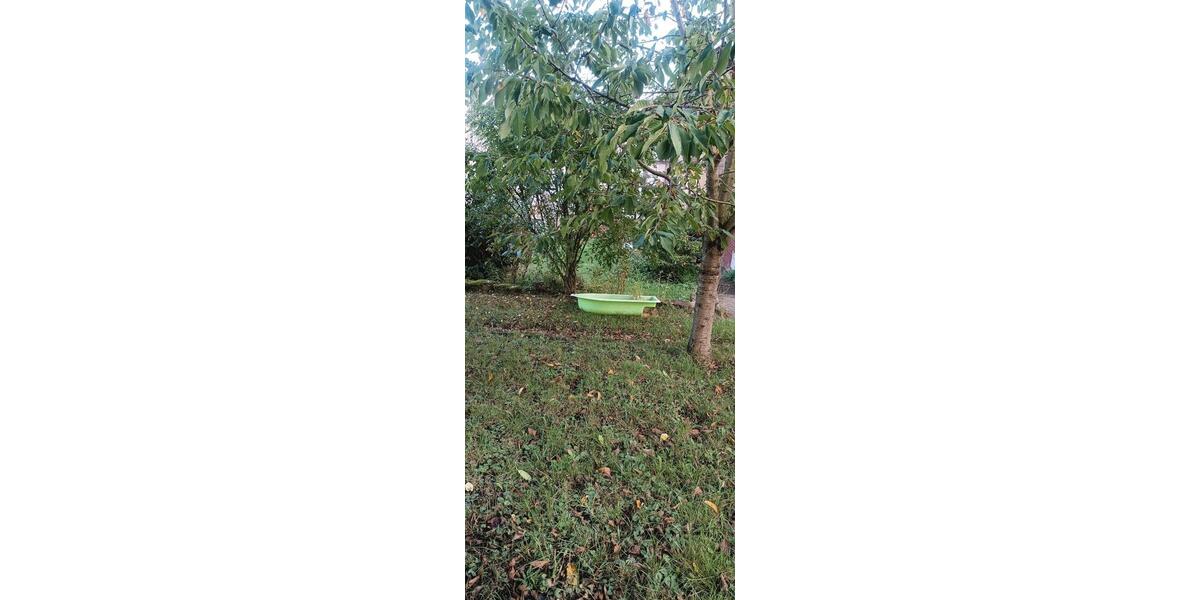 Einfamilienhaus Burghaun - 5 Zimmer, 120 m&sup2;, 68.000&euro; | Angebot:25305044