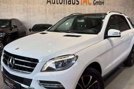 Mercedes-Benz ML 350 113.122 km 24.900 &euro; Petersberg 36100