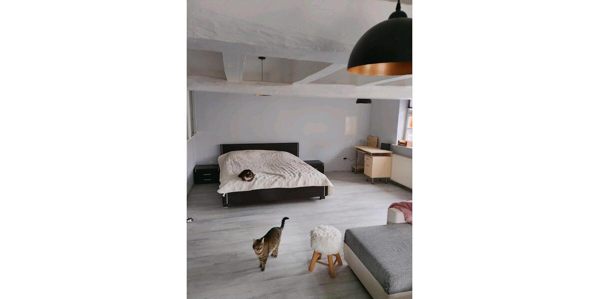 Etagenwohnung Niederaula - 1 Zimmer, 100 m&sup2;, 850&euro; | Angebot:25790594