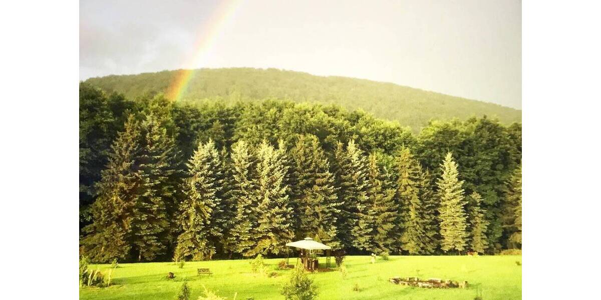 Mehrfamilienhaus, Wohnhaus Schlüchtern Ahlersbach - 1 Zimmer, 750 m&sup2;, 980.000&euro; | Angebot:25704425