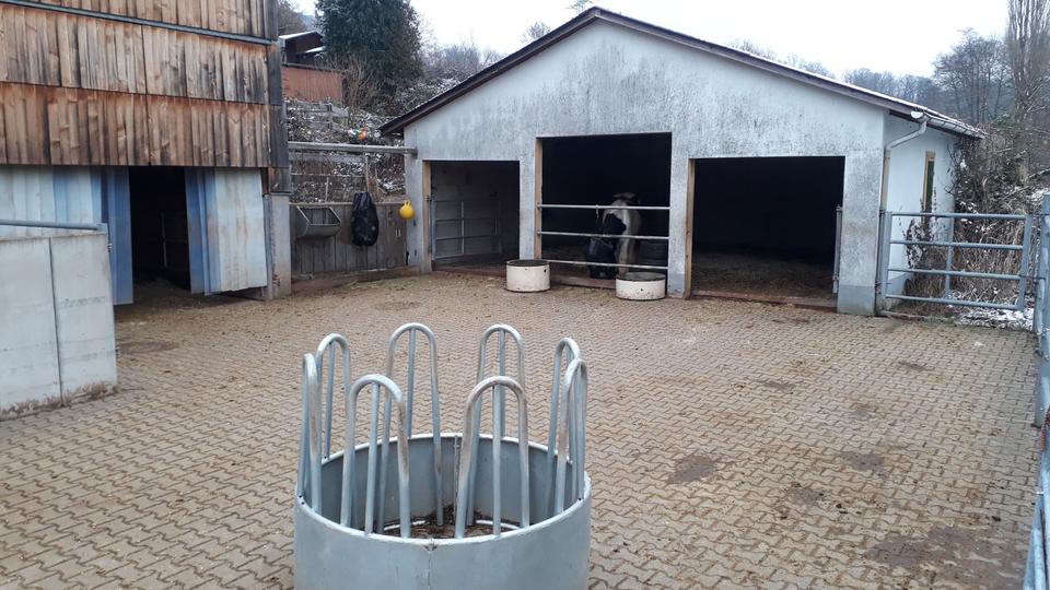 Einfamilienhaus Sinntal - 6 Zimmer, 160 m&sup2;, 295.000&euro; | Angebot:26097758