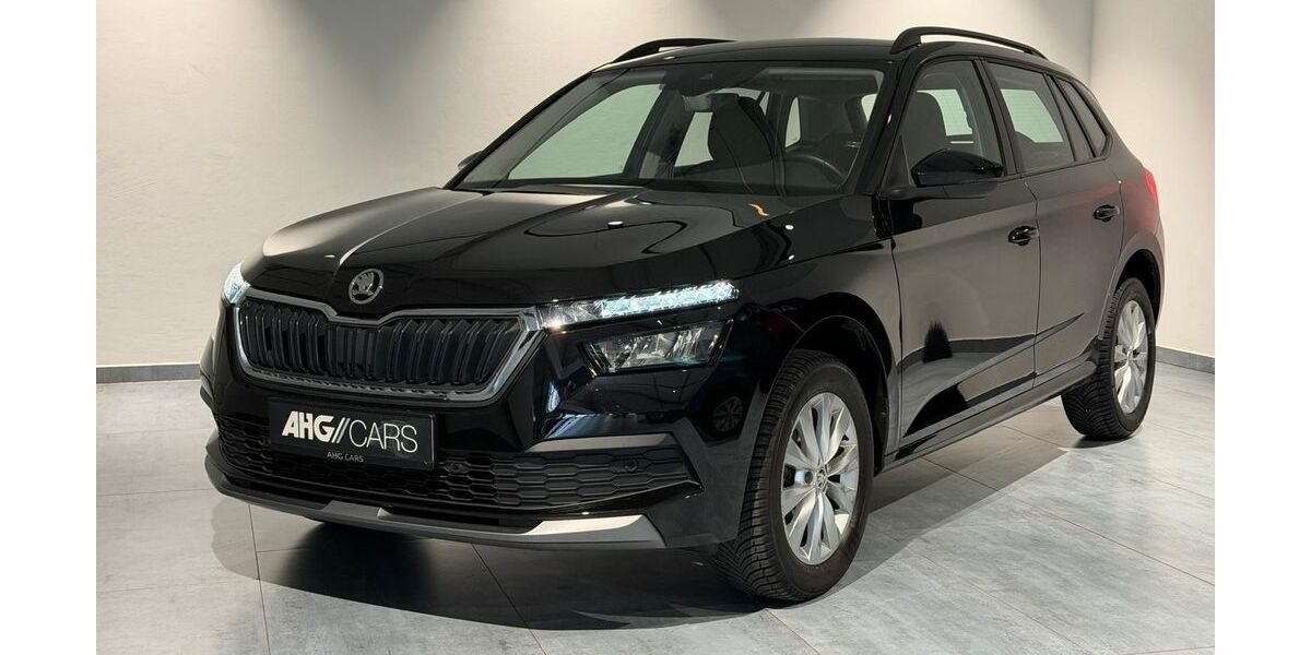 Skoda Kamiq 96.283 km 16.500 &euro; Burghaun 36151