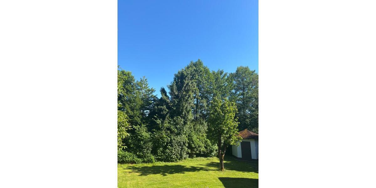 Einfamilienhaus Großenlüder - 7 Zimmer, 170 m&sup2;, 585.000&euro; | Angebot:26722564