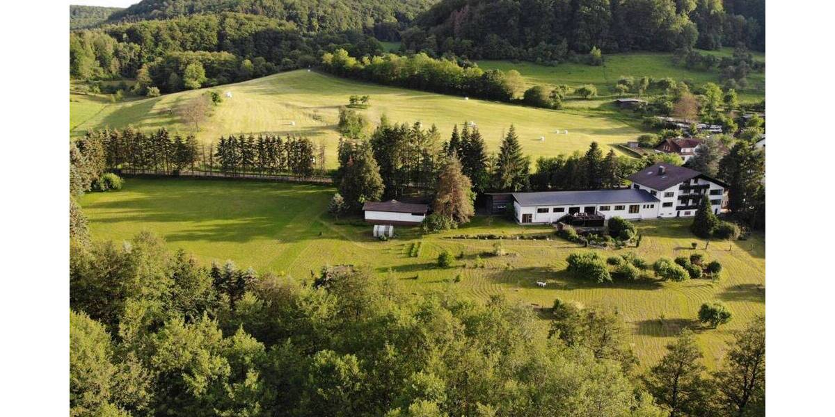 Mehrfamilienhaus, Wohnhaus Schlüchtern Ahlersbach - 1 Zimmer, 750 m&sup2;, 980.000&euro; | Angebot:25704425