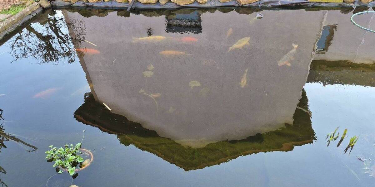 Mehrfamilienhaus, Wohnhaus Schlüchtern Klosterhöfe - 1 Zimmer, 284 m&sup2;, 379.000&euro; | Angebot:26079909