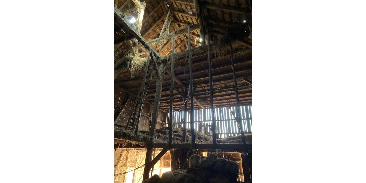 Einfamilienhaus Sinntal - 6 Zimmer, 160 m&sup2;, 295.000&euro; | Angebot:26097758