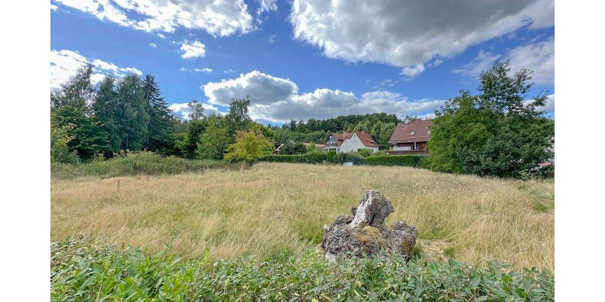 Gewerbeobjekt Grebenhain Ilbeshausen-Hochwaldhausen - 795.000&euro; | Angebot:25685370