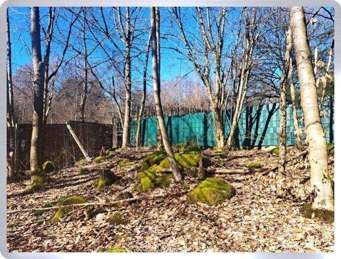 Einfamilienhaus Grebenhain Ilbeshausen-Hochwaldhausen - 5 Zimmer, 166 m&sup2;, 225.000&euro; | Angebot:25726785