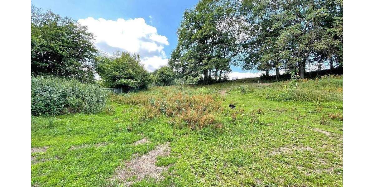 Einfamilienhaus Hosenfeld - 995.000&euro; | Angebot:25689300