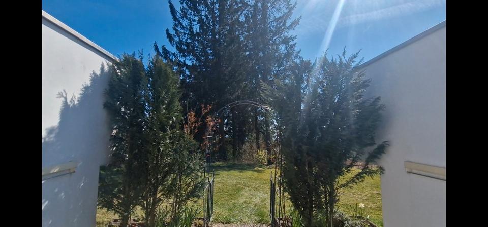 Etagenwohnung Grebenhain - 1.5 Zimmer, 52 m&sup2;, 79.000&euro; | Angebot:26231203