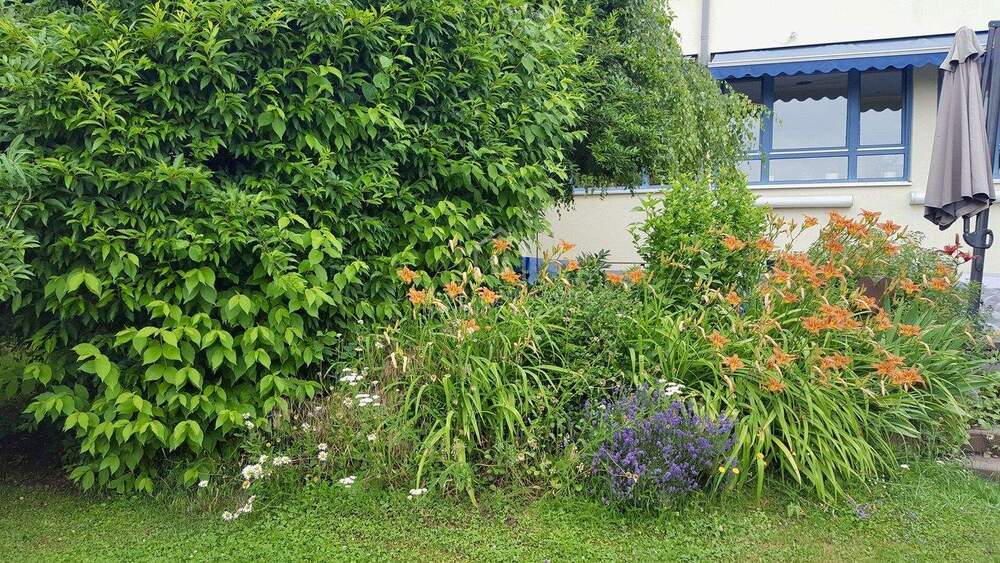 Mehrfamilienhaus, Wohnhaus Neuhof / Rommerz Rommerz - 2 Zimmer, 1 m&sup2;, 1.350.000&euro; | Angebot:25741007