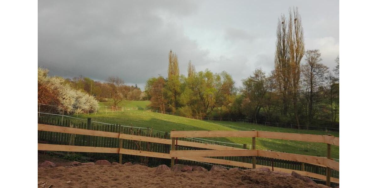 Einfamilienhaus Sinntal - 6 Zimmer, 160 m&sup2;, 295.000&euro; | Angebot:26097758