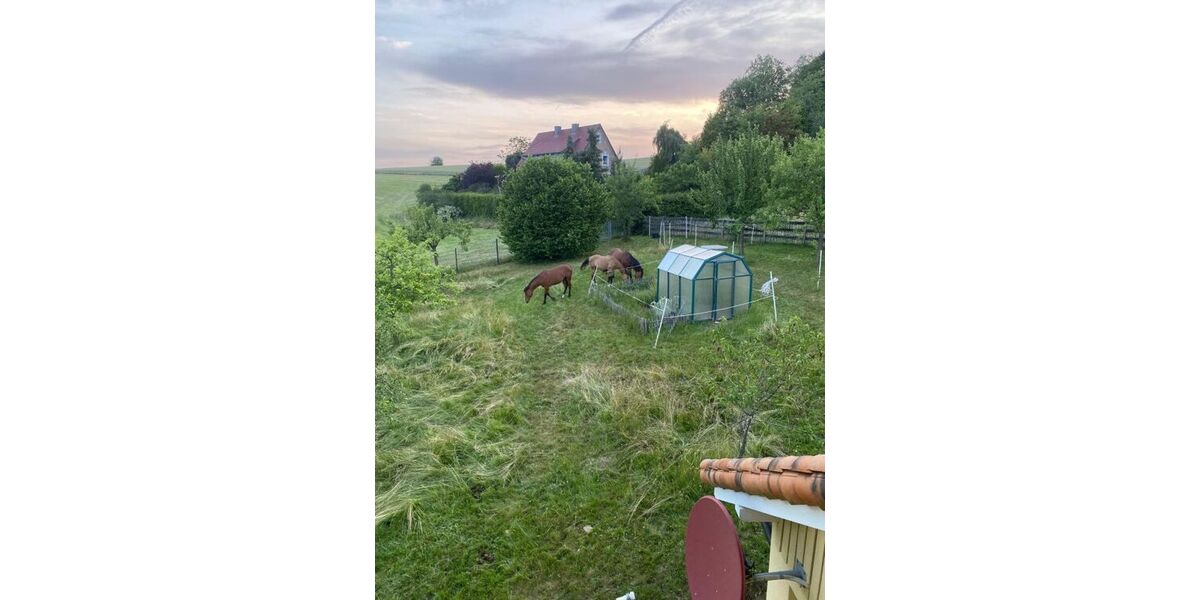 Provisionsfrei* Wohnen wie im Urlaub - Traumhaus im Biosphärenreservat Rhön - Einfamilienhaus Poppenhausen | Angebot:25634647