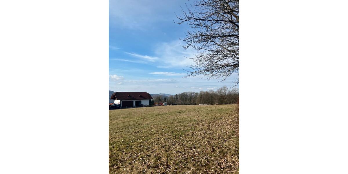 Mehrfamilienhaus, Wohnhaus Tann (Rhön) - 600.000&euro; | Angebot:25417893