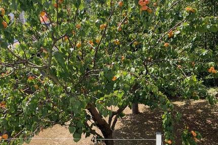 Haus Fulda Kohlhaus - 550.000&euro; | Angebot:25962626